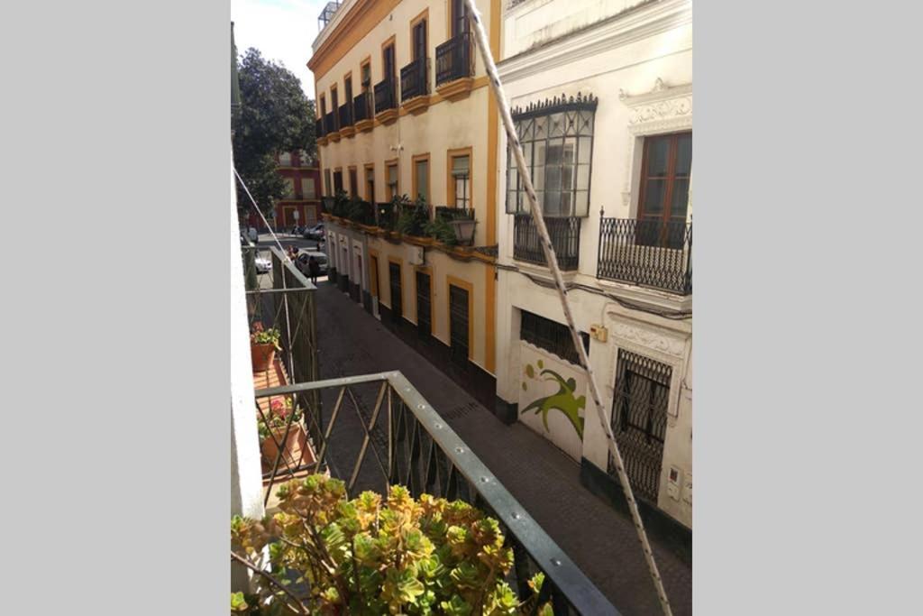 Apartamento Centro Encarnacion 1º D 塞维利亚 外观 照片